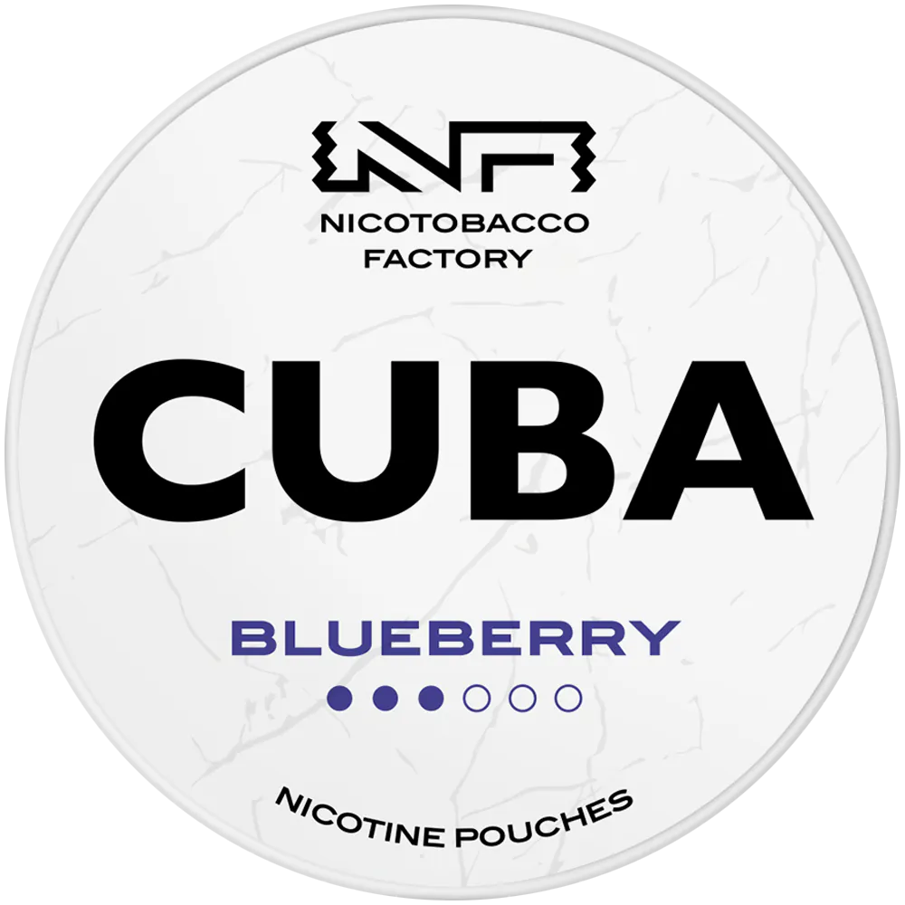 blueberry.png.webp
