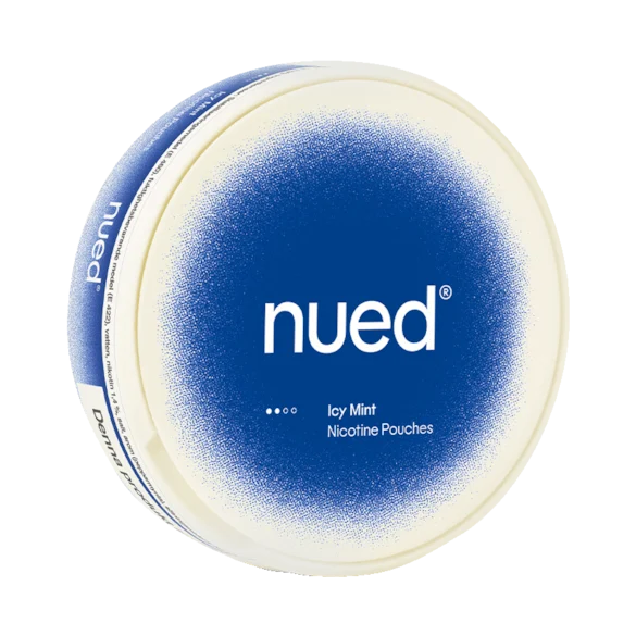 nued-icy-mint-bolsas-de-nicotina.webp